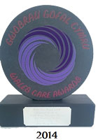 wales care award 2014